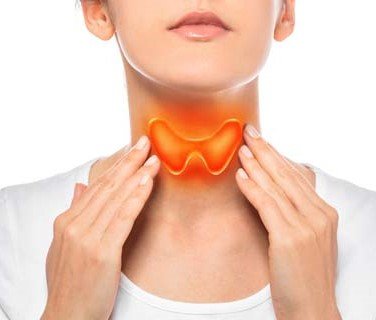 thyroid-diet