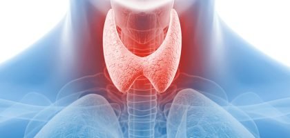thyroid