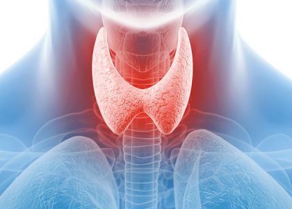 thyroid